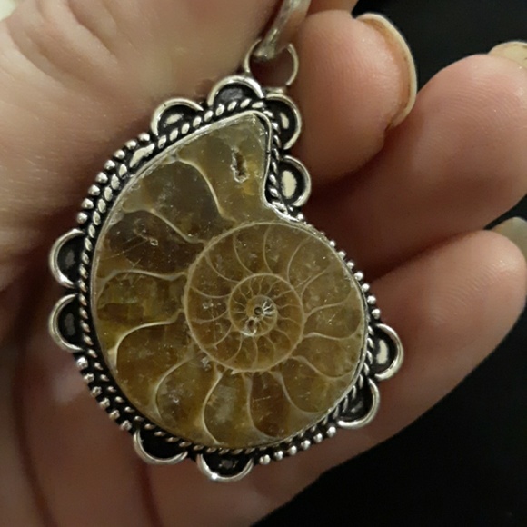 New Ammonite Fossil 925 Silver Pendant. - Picture 2 of 4